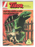 tibor_101.JPG (595kb)