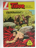 tibor_138.JPG (604kb)
